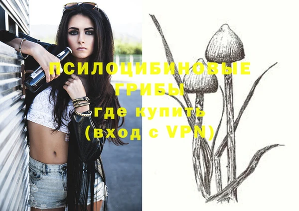 крисы Армянск